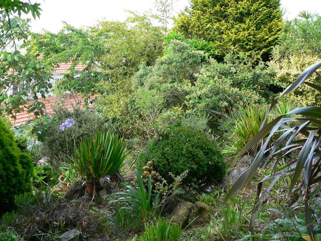 Mount Hobson Apartments Auckland Exterior foto